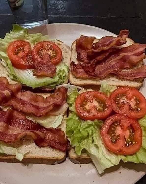 WOULD YOU EAT THIS TREMENDOUS SANDWICH